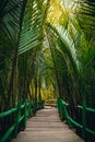 potrait shot of treeline and wooden bridge