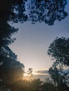 potrait sunset panorama sky tree Royalty Free Stock Photo