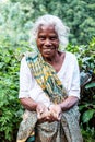 Ella, Sri Lanka - January 3, 2016: Tamil tea picker near the town of Ella Royalty Free Stock Photo