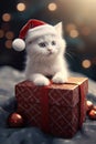 Potraits of adorable cat in christmas Royalty Free Stock Photo