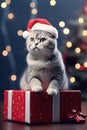 Potraits of adorable cat in christmas Royalty Free Stock Photo