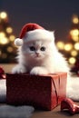 Potraits of adorable cat in christmas Royalty Free Stock Photo