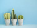 Paper cactuses on blue. Royalty Free Stock Photo