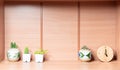 Pots of cactus on the shelves. Royalty Free Stock Photo