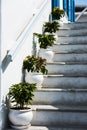 Pots climb the stairs on Mykonos Royalty Free Stock Photo