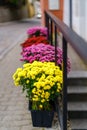 Pots of colorful flowers on the sidewalk of the little alley. Royalty Free Stock Photo