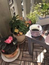 Pots of flowers on the balcony in summer