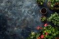 Pots, flowers and gardening tools on soil background. Spring garden works concept. Love nature Royalty Free Stock Photo