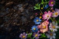 Pots, flowers and gardening tools on soil background. Spring garden works concept. Love nature Royalty Free Stock Photo