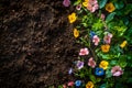 Pots, flowers and gardening tools on soil background. Spring garden works concept. Love nature Royalty Free Stock Photo