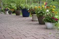 Pots of flowers on the patio. Royalty Free Stock Photo