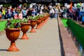 Pots of flowers are set in a row