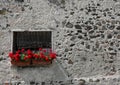 Vases of geraniums with red flowers on a balcony