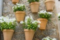 Pots hanging on the wall with flowers in the city of Valldemosa Royalty Free Stock Photo