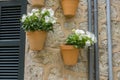 Pots hanging on the wall with flowers in the city of Valldemosa Royalty Free Stock Photo