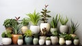 Pots of Indoor Plants, Succulents, and Fresh Herbs. Generative AI