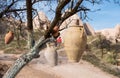 Pots and jars hanged at tree for sale at Turkish carpet souvenir shop in Goreme town near the Uchisar castle, cappadocia, Turkey