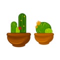 Pots plants with flowers and leaves set. Vector illustration. Royalty Free Stock Photo