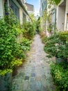 Pots of plants in a small cobbled dead-end street in Paris france