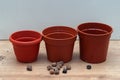 Pots for transplanting indoor plants ready for transplanting with drainage Royalty Free Stock Photo