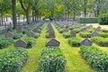 POTSDAM, GERMANY. The Soviet military burial at Basseyn-plats Square