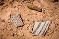 Potsherds and dried maize