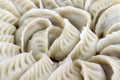 Potstickers Chinese Dumplings Closeup Royalty Free Stock Photo