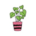 potted anthurium icon hand drawn. , minimalism, scandinavian, doodle, cartoon. sticker, plant, flower.