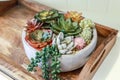 potted bowl of fake artificial succulents as simple home decor on a wood tray in a short term rental house Royalty Free Stock Photo