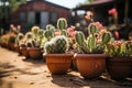 Potted Cacti in a Botanical Corner at Beautiful Day. AI Generated