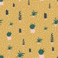 Potted cacti plants seamless vector pattern