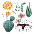 Potted cacti and succulents plants badge collection set.