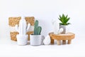 Potted cactus, ceramic cacti and succulent plant arranged on white shelf