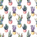 Potted cactus pattern