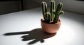 Potted Cactus on Table with Dramatic Shadow and Light Royalty Free Stock Photo