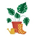 Potted flower, rubber boots and a watering can.