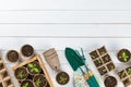 Potted flower seedlings growing in biodegradable peat moss pots on white wooden background with copy space. Royalty Free Stock Photo