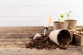 Potted flower seedlings growing in biodegradable peat moss pots on wooden background with copy space. Royalty Free Stock Photo