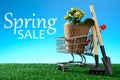 Potted flower in trolley with garden shovel and rake on green sunny lawn Royalty Free Stock Photo
