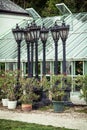 Potted flowering plant and old lamps in orangery near the Festetics palace, Keszthely, Zala, Hungary Royalty Free Stock Photo