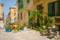 Potted flowers in front of an old building in Senglea, Malta Royalty Free Stock Photo