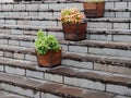 Potted flowers on granite steps. city decor Royalty Free Stock Photo