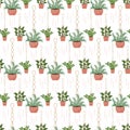 Potted flowers macrame pots seamless pattern, modern scandinavian style, hanging plants endless texture. Vector