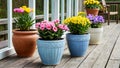 Potted flowers on old unpainted wooden floor, on veranda in spring. Decorating house with colorful blooming decorative flowers