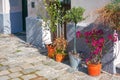 Potted flowers street decor