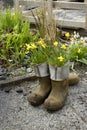 Potted galoshes - vertical