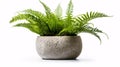 Potted green plant with cutout leaves in a stone planter on a white