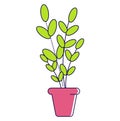 Potted green plant with vibrant leaves in a pink pot. Simplistic houseplant design perfect for home decor. Vector