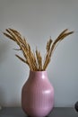 Potted green plants in white pots. Flowers in vase. Dried flowers, cacti. Ikea Royalty Free Stock Photo