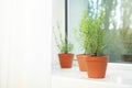 Potted green rosemary bushes on sill. Space for text